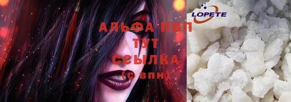 шишки Коряжма