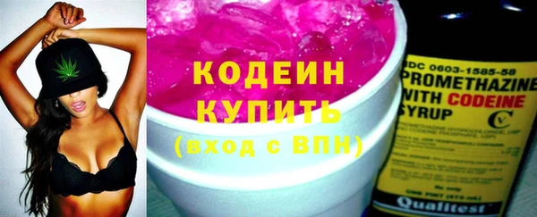 мдпв Костерёво