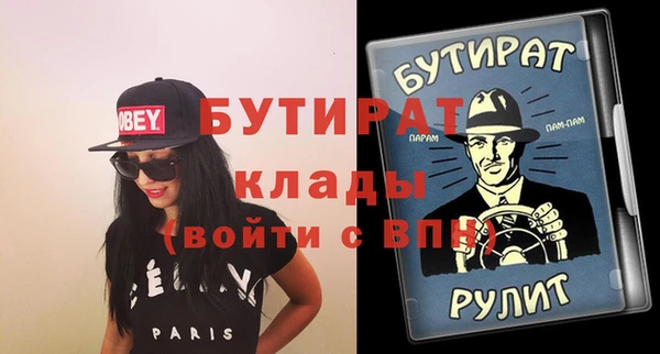 шишки Коряжма
