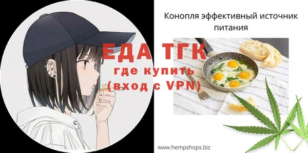 шишки Коряжма
