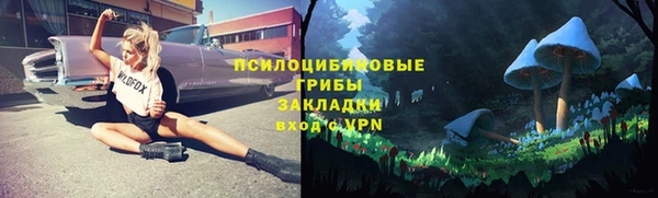 мдпв Костерёво