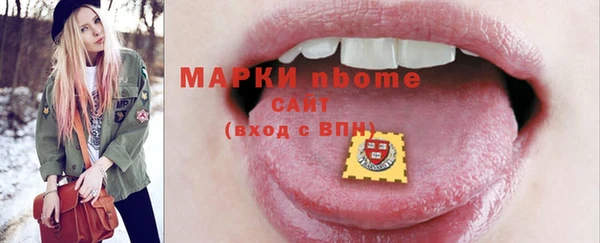 шишки Коряжма
