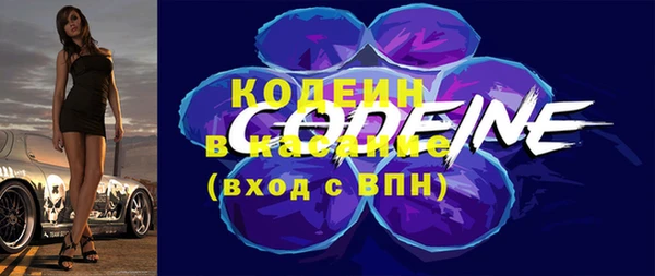 мдпв Костерёво