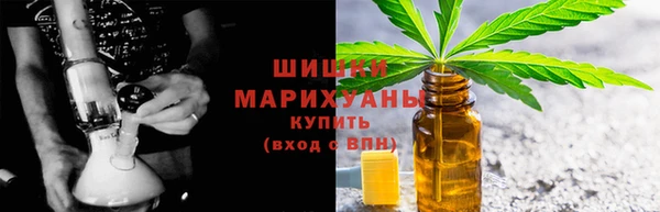 шишки Коряжма