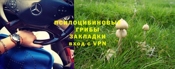мдпв Костерёво
