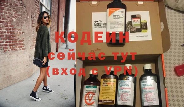 шишки Коряжма