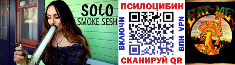 Купить закладки  Гагарин  Псилоцибиновые грибы MAGIC MUSHROOMS 